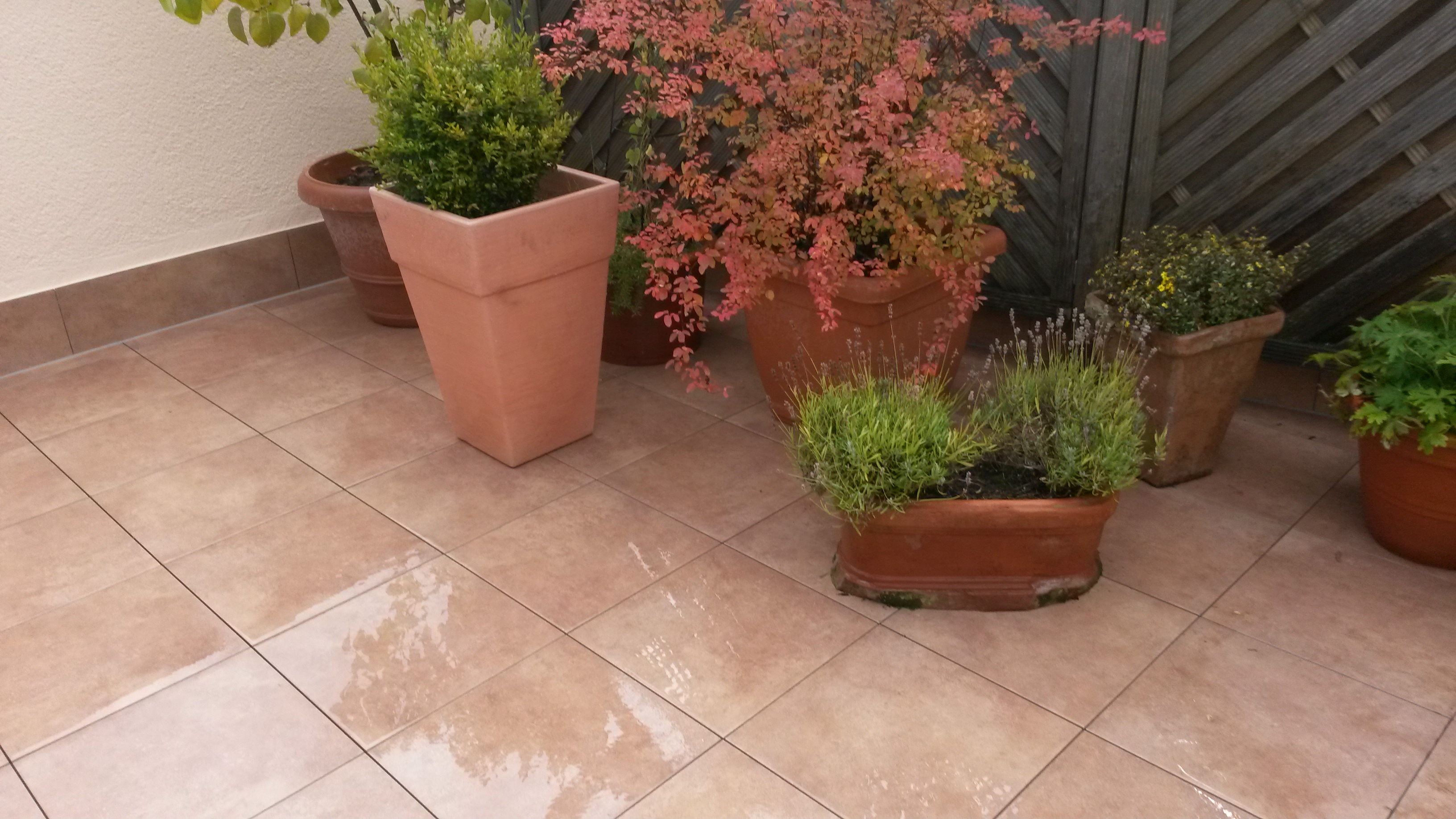 Terrassensanierung Terrassenelemente 