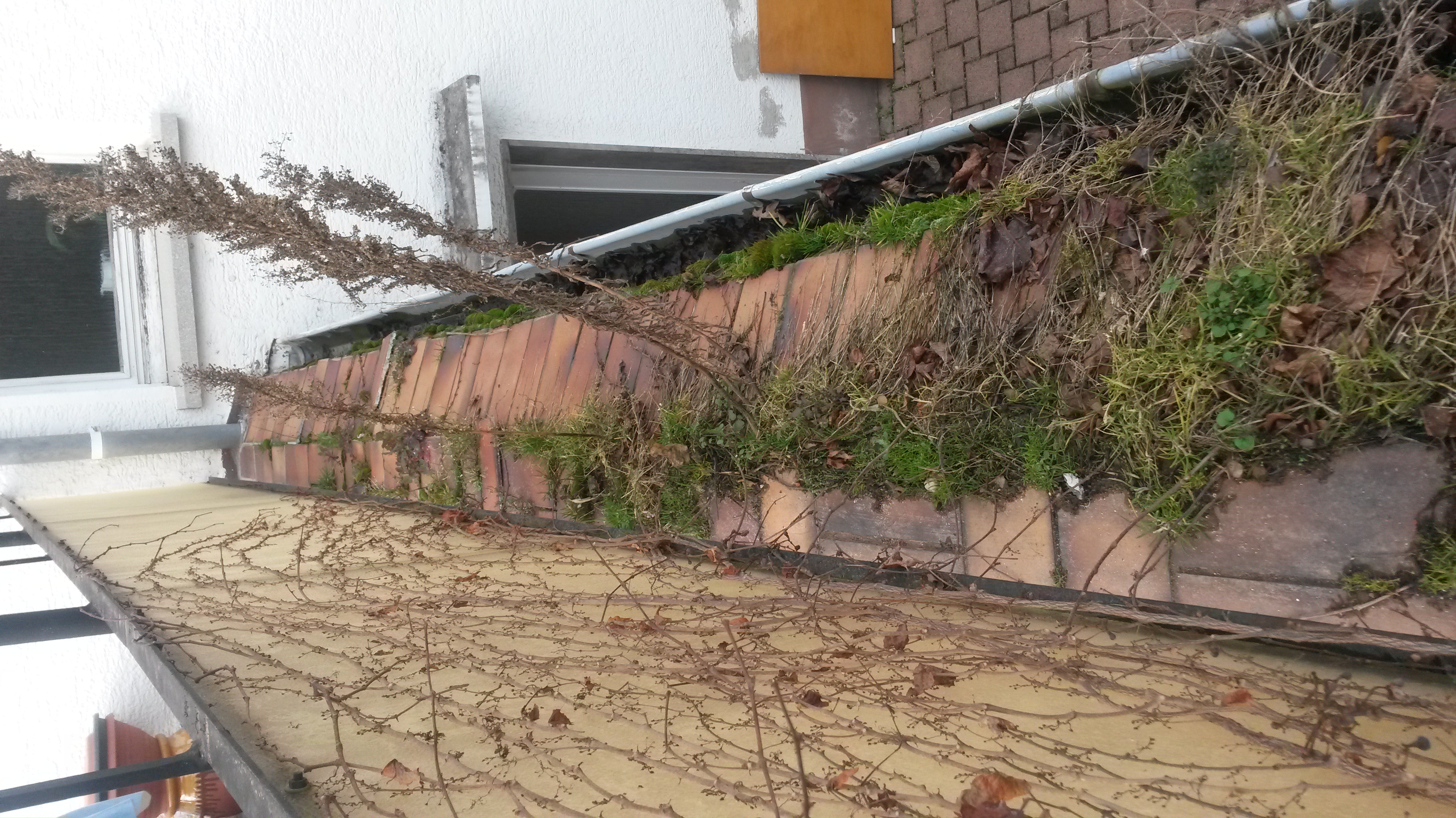 Balkonsanierung Frankfurt am Main